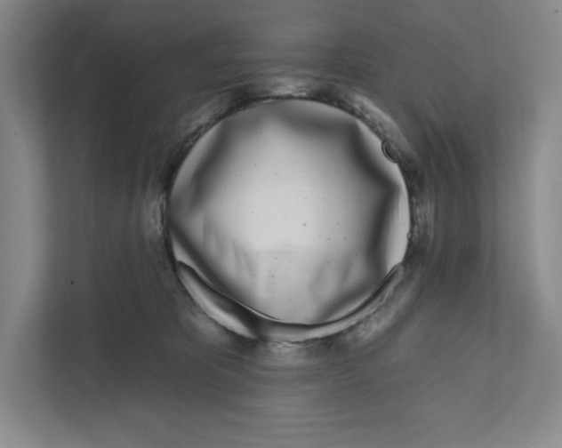 X0000111180325200907291148