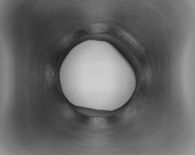 X0000111180327200907291148