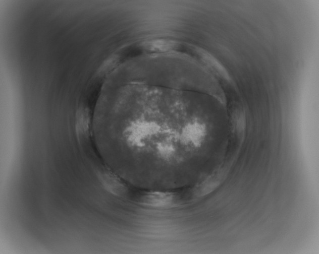 X0000111180328200907291148