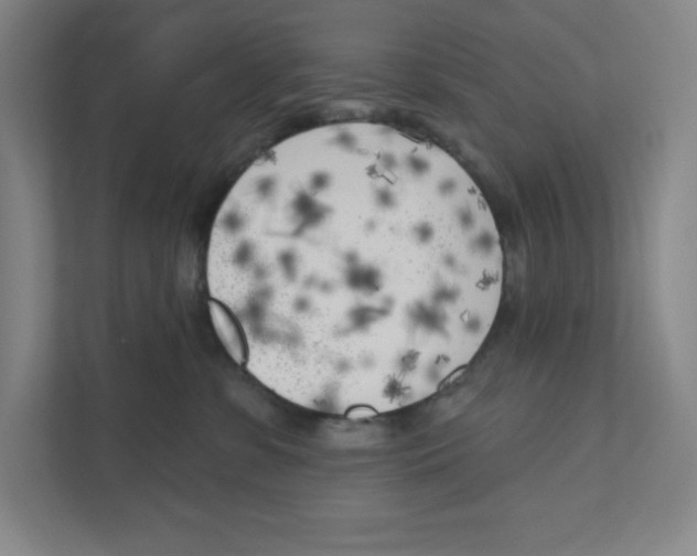 X0000111180331200907291148