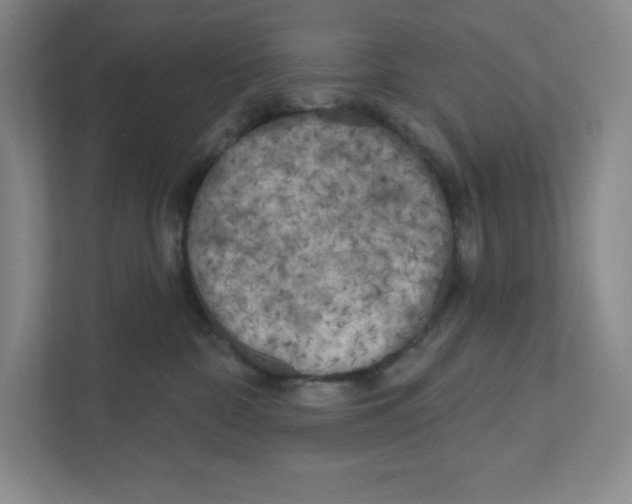 X0000111180332200907291148