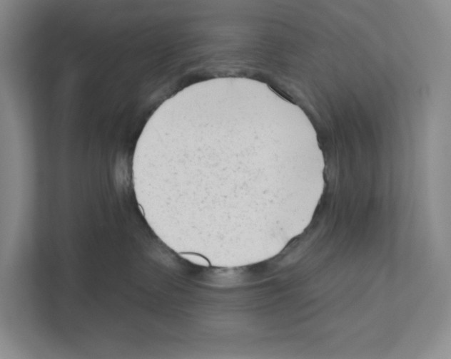 X0000111180335200907291148