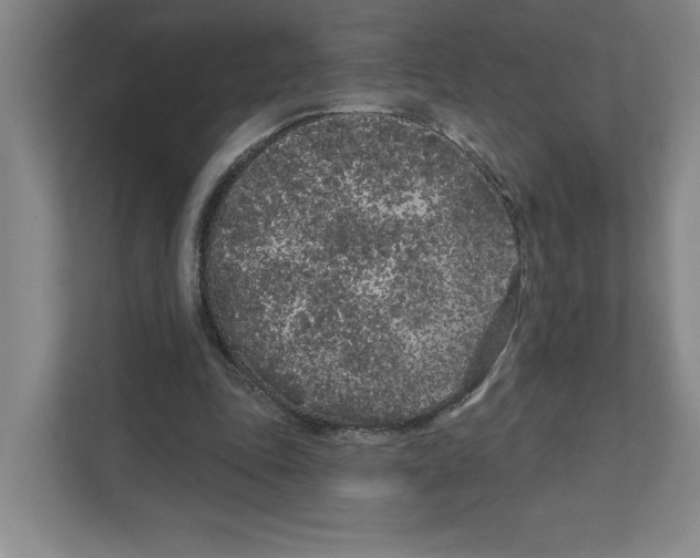 X0000111180343200907291148