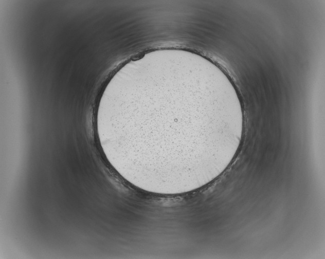 X0000111180345200907291148