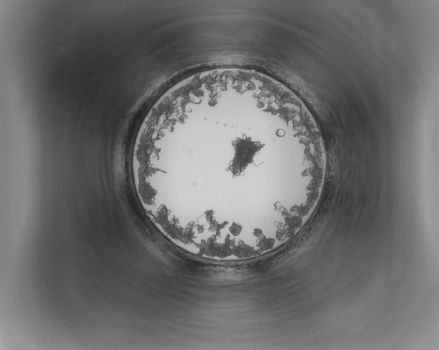 X0000111180347200907291148