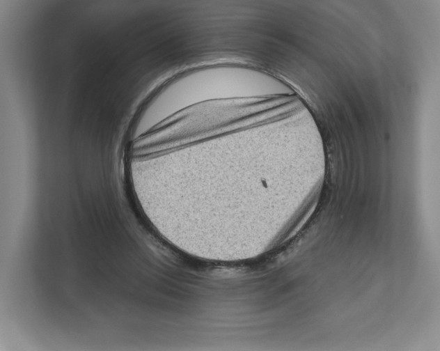 X0000111180350200907291148