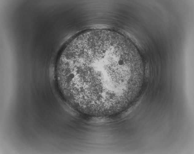 X0000111180351200907291148