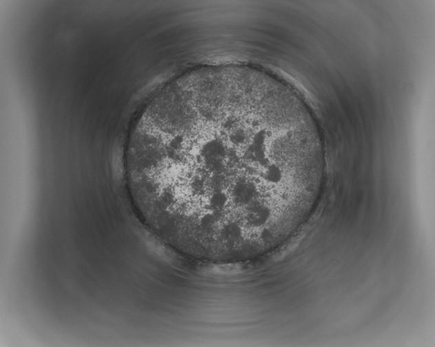 X0000111180353200907291148