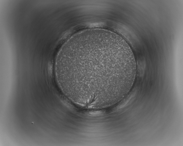 X0000111180357200907291148