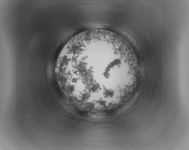 X0000111180359200907291148