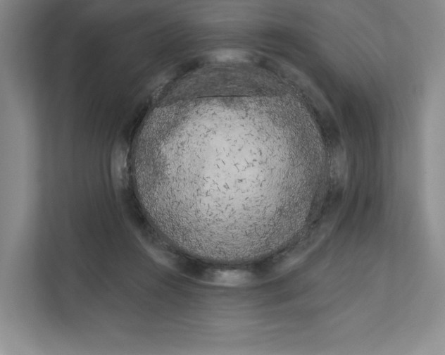 X0000111180360200907291148