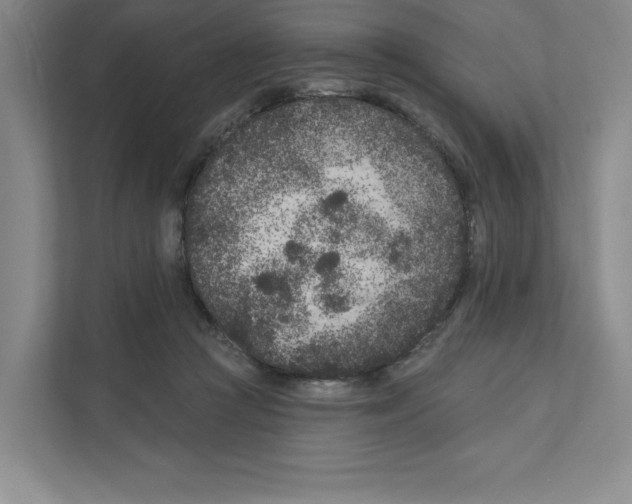 X0000111180361200907291148