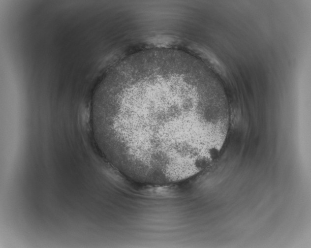 X0000111180365200907291148