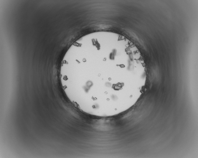 X0000111180366200907291148