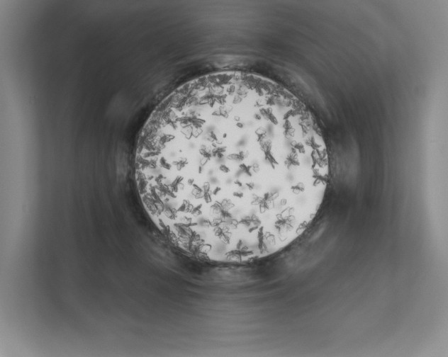 X0000111180367200907291148