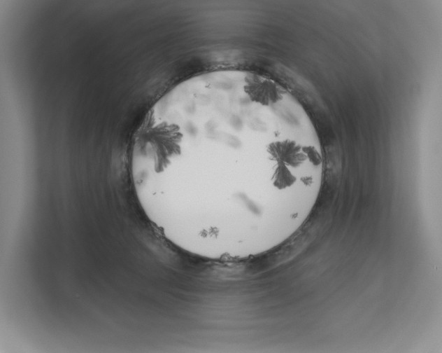 X0000111180369200907291148