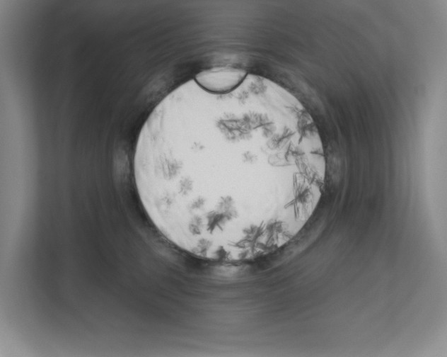 X0000111180375200907291148