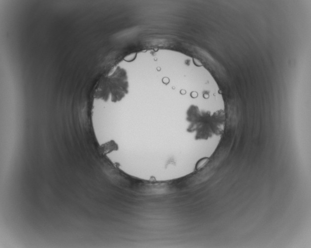 X0000111180377200907291148