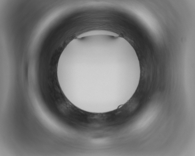 X0000111180383200907291148