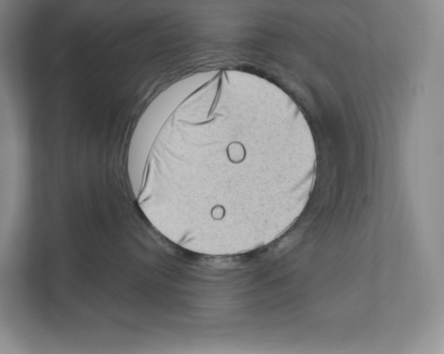 X0000111180384200907291148