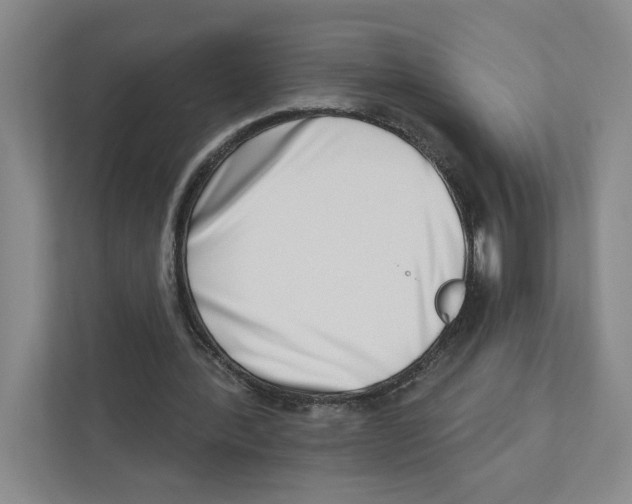 X0000111180388200907291147