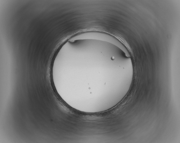 X0000111180389200907291147