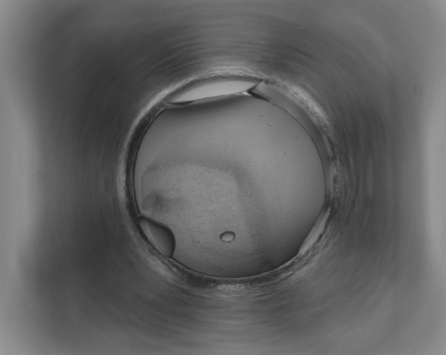 X0000111180391200907291147