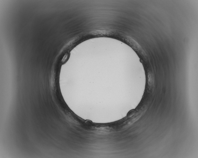 X0000111180396200907291147