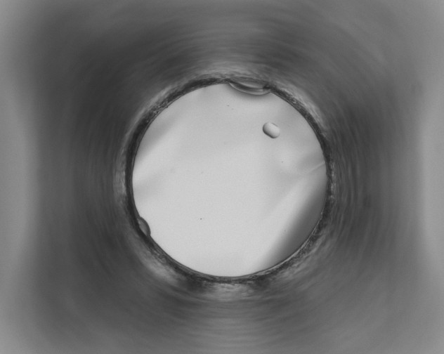 X0000111180399200907291147