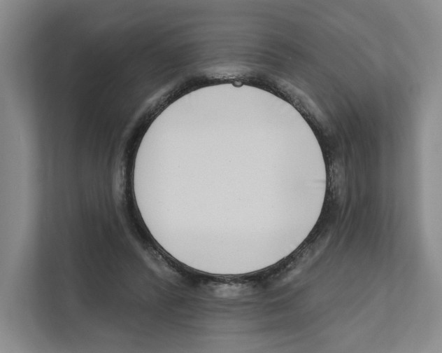 X0000111180400200907291147