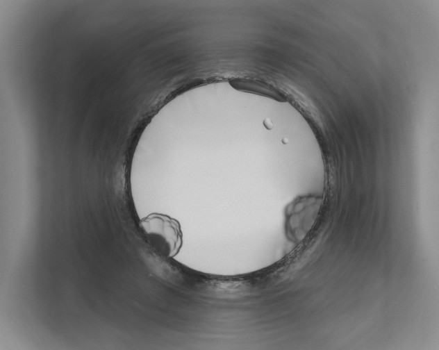 X0000111180401200907291147