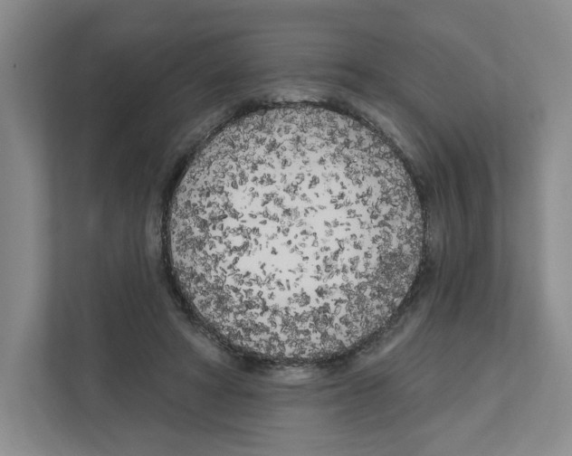 X0000111180402200907291147