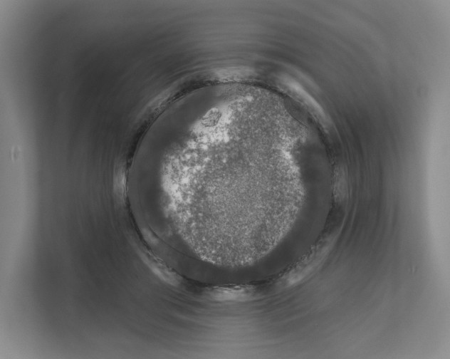 X0000111180405200907291147