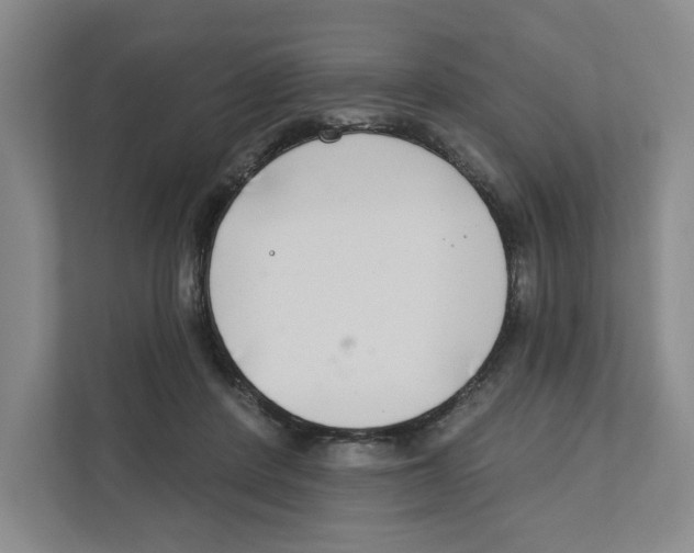 X0000111180408200907291147