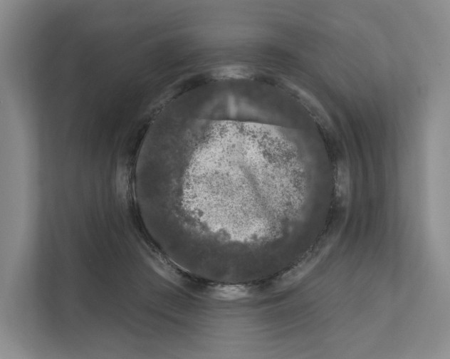 X0000111180409200907291147