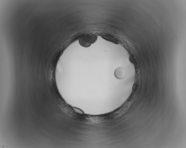 X0000111180417200907291147