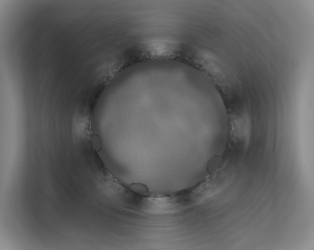 X0000111180419200907291147