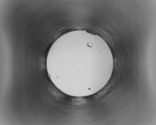 X0000111180421200907291147