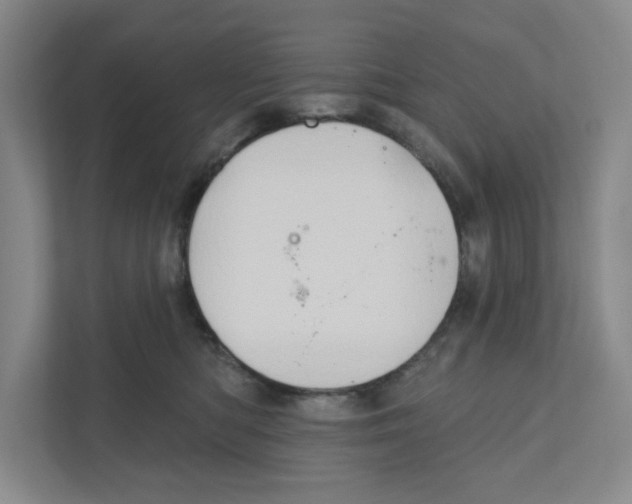 X0000111180422200907291147