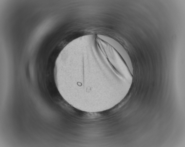 X0000111180429200907291147