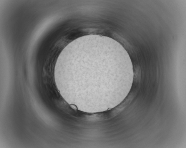 X0000111180430200907291147