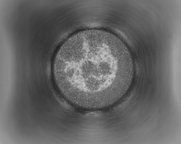 X0000111180447200907291146