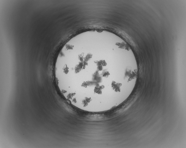 X0000111180449200907291146