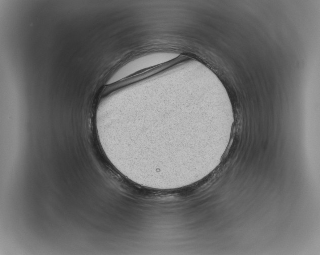 X0000111180456200907291147