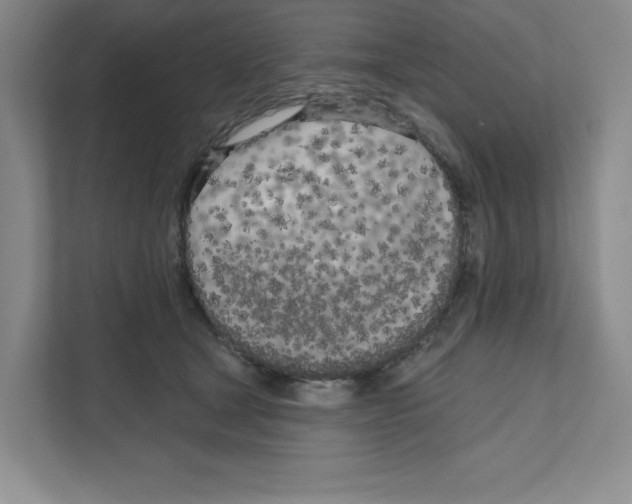 X0000111180465200907291147