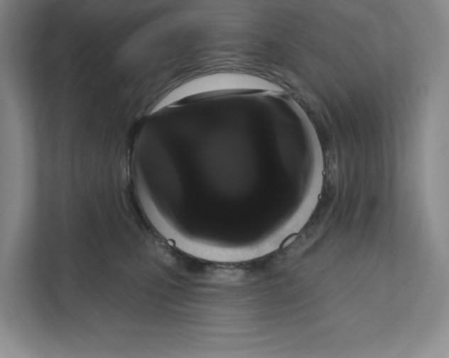 X0000111180471200907291147