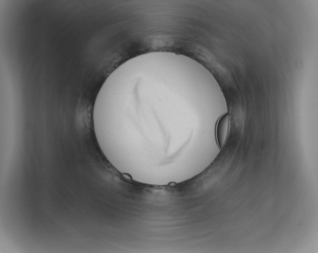 X0000111180475200907291147