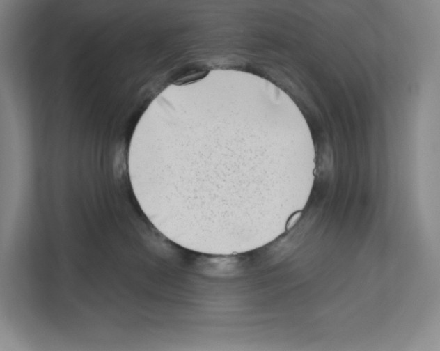 X0000111180478200907291147