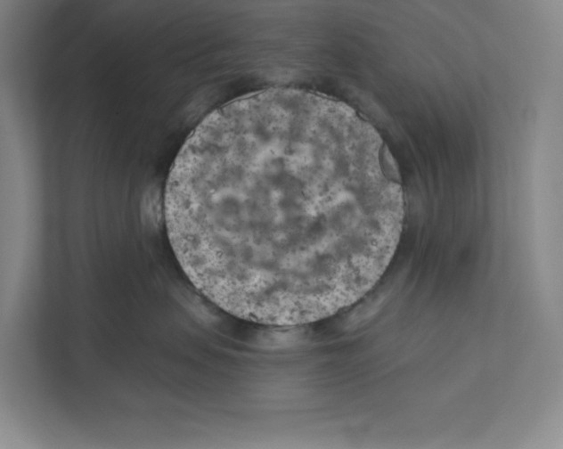 X0000111180479200907291147