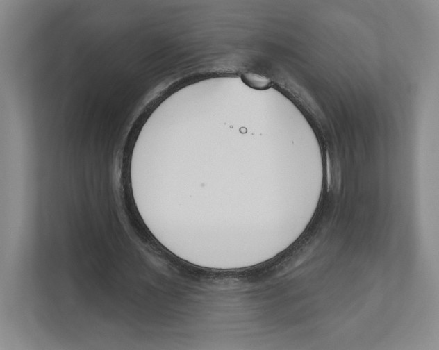 X0000111180483200907291146